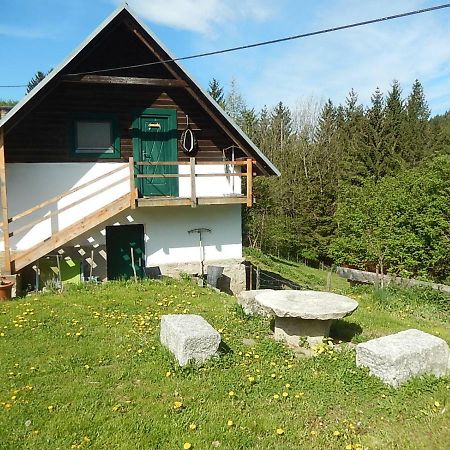 Ferienhaus Am Reitbauernhof Luckyranch Mellach  Bagian luar foto