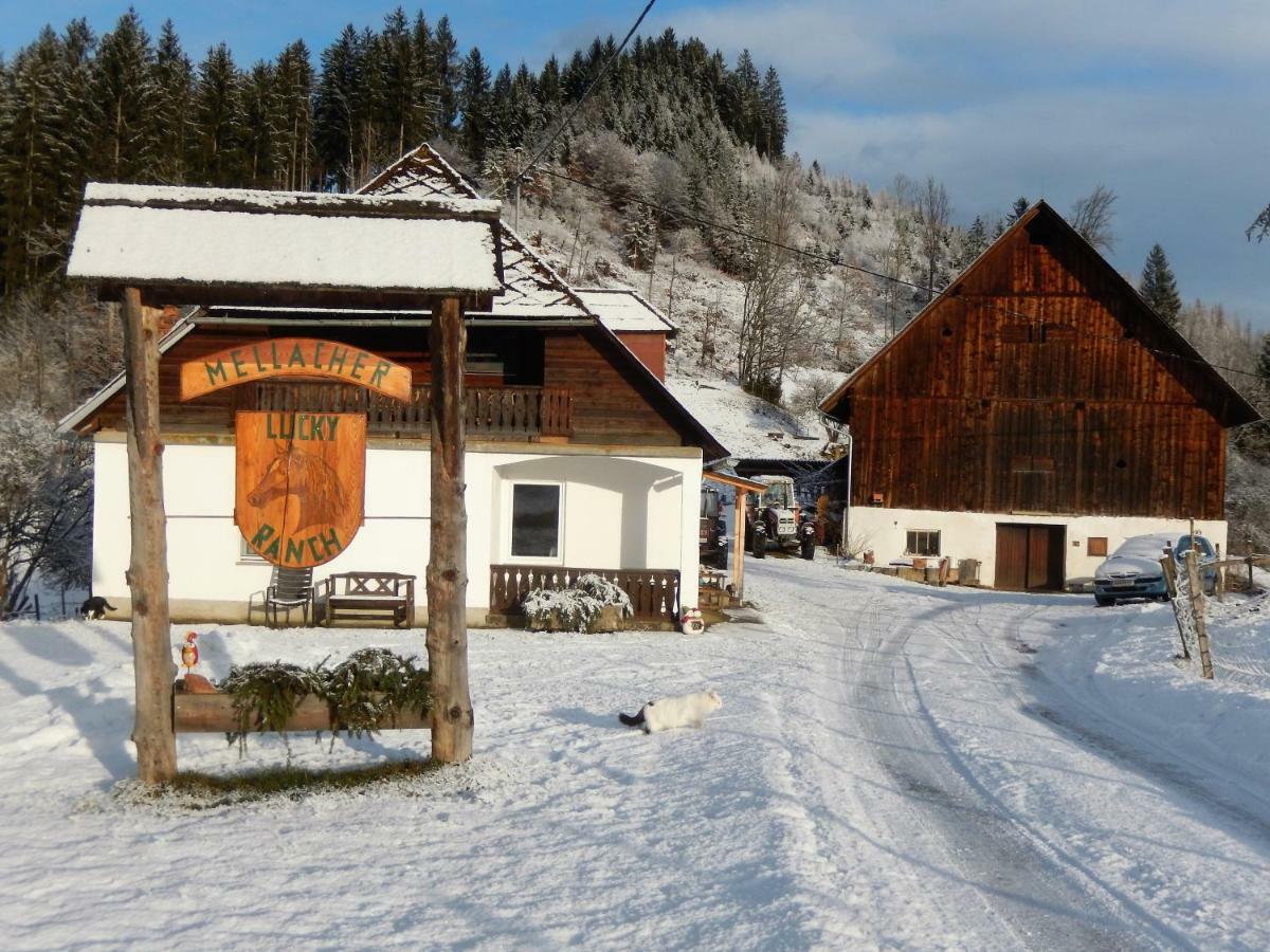 Ferienhaus Am Reitbauernhof Luckyranch Mellach  Bagian luar foto